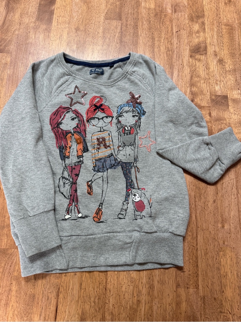 next Gray Girls Graphic Sweatshirt with Accents